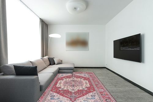 SAFAVIEH Tucson Collection Area Rug - 6' x 9', Red & Pink, Persian Design, Non-Shedding Machine Washable & Slip Resistant Ideal for High Traffic Areas in Living Room, Bedroom (TSN139R) in Modern Living Room with Grey Couch