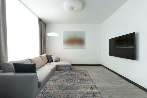 Bloom Rugs Traditional Blue Gray Area Rug - Vintage Boho 5x7 Rug for Living Room, Bedroom and Kitchen (5'3" x 7'6") in Modern Living Room with Grey Couch