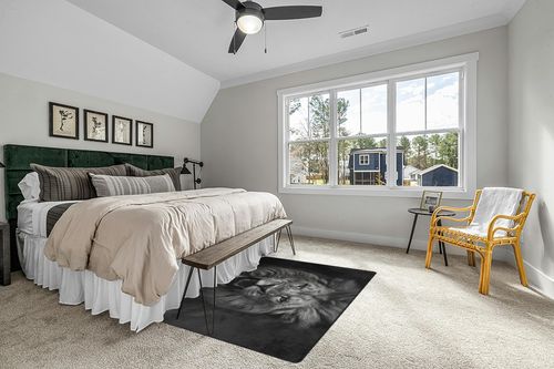 DNOVING Large Black and White Lion Area Rug 5x7ft Non Slip, Rubber Backed Perfect for Living Room, Bedroom, Office, Dining Room Timeless and Classic Decor Indoor Fluffy Area Rug in Grey Traditional Bedroom with King Bed