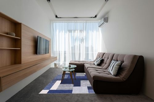 RUGSREAL Contemporary Area Rug in Grey Living Room with Brown Couch