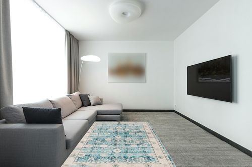 Syalife Washable Rug Vintage Area Rugs, 5'x 7' Living Room Rug with Non Slip Backing, Ultra-Thin Medallion Distressed Non-Shedding Boho Rug, Vintage Floor Mat Indoor Rug (FG04-Blue, 5'x 7') in Modern Living Room with Grey Couch