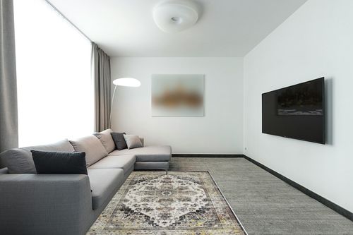 GAOMON Machine Washable Area Rug 5x7 Non Slip Floor Cover Carpet Rug for Living Room Bedroom Medallion Vintage Distressed Accent Rug Traditional Home Decor Floor Decoration Carpet Mat, Grey in Modern Living Room with Grey Couch
