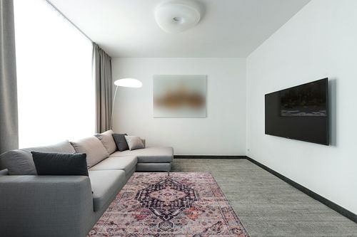GLN Rugs Machine Washable Area Rug, Rugs for Living Room, Rugs for Bedroom, Bathroom Rug, Kitchen Rug, Printed Vintage Rug, Home Decor Traditional Carpet (Black/Cream/Multicolor, 5'3" x 7'5") in Modern Living Room with Grey Couch