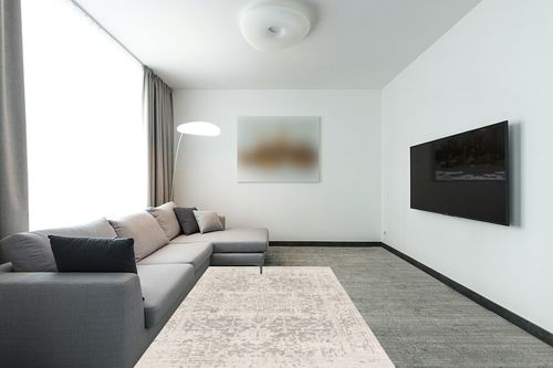 Grey Traditional  Living Room Area Rug in Modern Living Room with Grey Couch