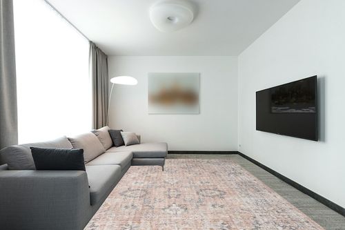 Blush / Grey Traditional Stain-resistant Living Room Area Rug in Modern Living Room with Grey Couch