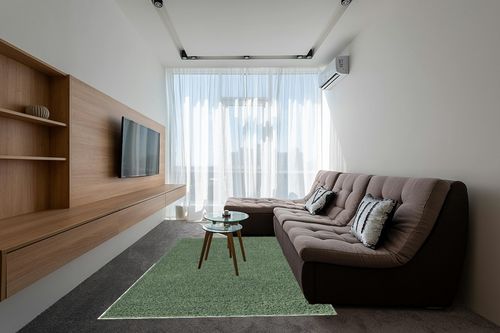 Green Shag Rug 6'x9' in Grey Living Room with Brown Couch