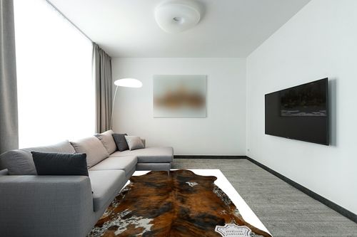 Appaloosa Cowhides Natural Cowhide Rug - Tricolor Cowhide Area Rug for Bedroom & Living Room - Luxury Cowhides Modern Accent Rug - Genuine Leather with Real Animal Fur, Medium, 6 x 8 Feet in Modern Living Room with Grey Couch