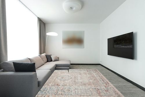 ‎Natural / Ocean ‎Traditional and Distressed Design Living Room ‎Area Rug in Modern Living Room with Grey Couch