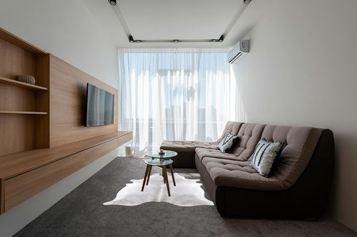 Cowhide Rug Large Best Living Room and Home Office Decor Area Rug Natural Grey and White Animal Skin Hairon learher Carpet Hide in Grey Living Room with Brown Couch