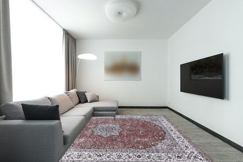 CAROMIO Vintage Area Rug in Modern Living Room with Grey Couch