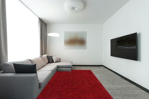 Red Shag Rug 6'x9' in Modern Living Room with Grey Couch