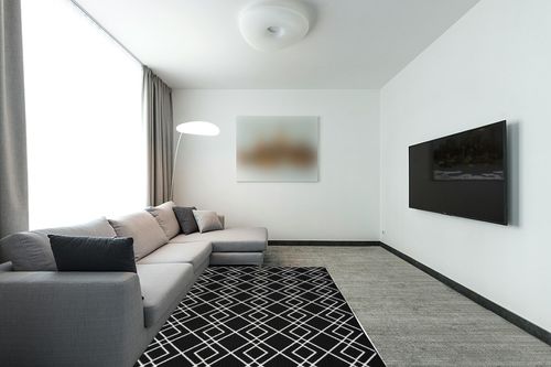 Nourison Modern Lines Modern Geometric Black 5' x 7' Area-Rug, Easy-Cleaning, Non Shedding, Bed Room, Living Room, Dining Room, Kitchen (5x7) in Modern Living Room with Grey Couch