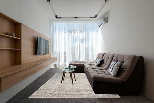 ‎Natural / Ocean ‎Traditional and Distressed Design Living Room ‎Area Rug in Grey Living Room with Brown Couch