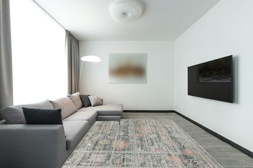 ‎Stone / Natural ‎Traditional  ‎Living Room ‎Area Rug in Modern Living Room with Grey Couch