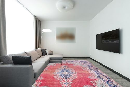 Large Washable Rug Indoor, in Modern Living Room with Grey Couch