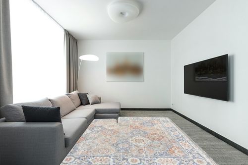 FairOnly Area Rug 8x10 Boho Floral Living Room Rugs Oriental Medallion Large Soft Neutral Bohemian Farmhouse Rug Indoor Floor Carpet for Bedroom Under Dining Table Home Office Decor,8x10 in Modern Living Room with Grey Couch