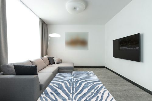Abani Nova NOV170A Blue Grey Zebra Print Area Rug 6' x 9' in Modern Living Room with Grey Couch
