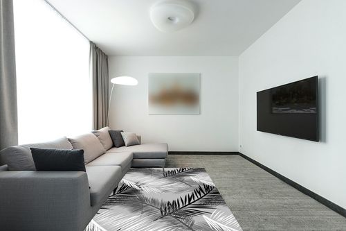 Mamatong Vintage Jungle Tropical Botancal Leaf Living Room Bedroom Dining Room Area Rugs Black White Grey 5x7 Premium Fluffy Home Office Entryway Hallway Kitchen Carpet Indoor Rug in Modern Living Room with Grey Couch