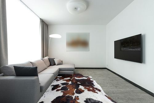 Genuine Tricolor Cowhide Rug XL 6 x 7-8 ft. - 180 x 240cm in Modern Living Room with Grey Couch