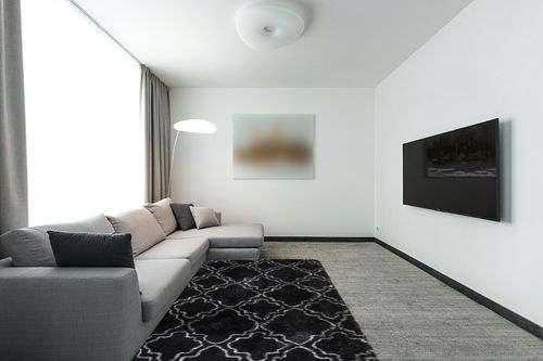 Amangel Soft Fuzzy Rugs for Living Room Bedroom,5x8 Feet Rug,Furry Carpet,Black & White Rug,Fluffy Plush Area Rug,Large Cool Modern Rugs for Apartment Home Office,Room Decor in Modern Living Room with Grey Couch