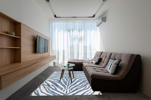 Abani Nova NOV170A Blue Grey Zebra Print Area Rug 6' x 9' in Grey Living Room with Brown Couch