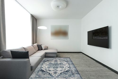 GAOMON Machine Washable Area Rug 5x7 Non Slip Floor Cover Carpet Rug for Living Room Bedroom Medallion Vintage Distressed Accent Rug Traditional Home Decor Floor Decoration Carpet Mat, Blue in Modern Living Room with Grey Couch