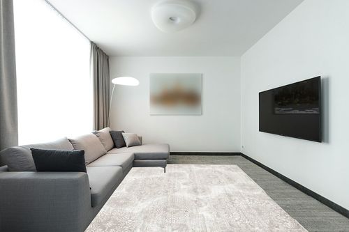 ‎Light Gray/Ivory ‎Traditional ‎Stain-resistant ‎Kitchen, Living Room, Bedroom, Home Office, Dining Room ‎Area Rug in Modern Living Room with Grey Couch