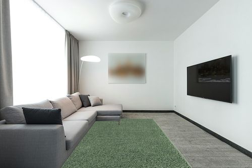 Green Shag Rug 6'x9' in Modern Living Room with Grey Couch