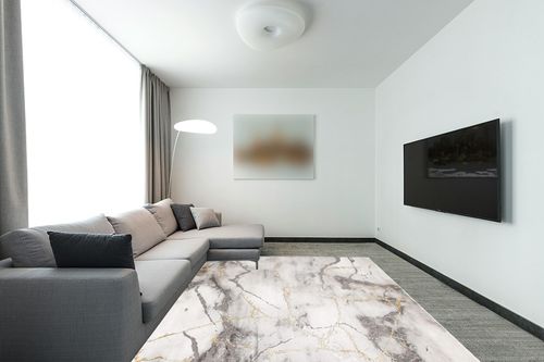 ‎Grey/Gold ‎Contemporary ‎Non Slip Area Rug in Modern Living Room with Grey Couch