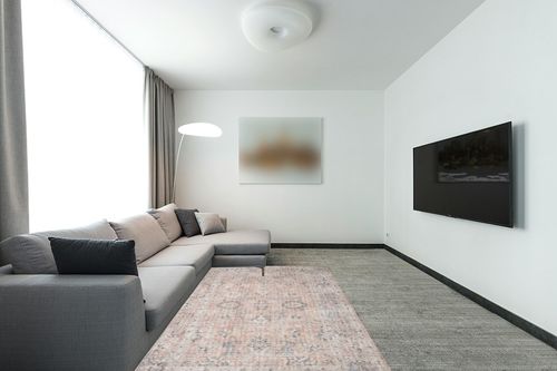 LOLOI II Skye Blush/Grey 5 ft. x 7 ft. 6 in. Traditional Polyester Pile Area Rug ... in Modern Living Room with Grey Couch