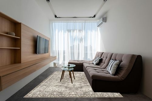 Tpr07-ivory Traditional Washable Living Room Area Rug in Grey Living Room with Brown Couch