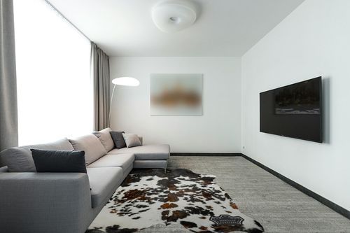 Appaloosa Cowhides Natural Cowhide Rug - Tricolor Cowhide Area Rug for Bedroom & Living Room - Luxury Cowhides Modern Accent Rug - Genuine Leather with Real Animal Fur, Original, 6 x 7 Feet in Modern Living Room with Grey Couch