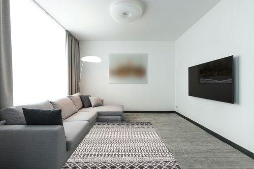 ‎Black ‎Moroccan ‎Stain Resistant, Pet friendly ‎Living Room ‎Area Rug in Modern Living Room with Grey Couch