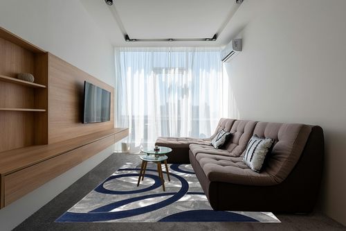 Navy Modern,contemporary Fluffy Living Room Area Rug in Grey Living Room with Brown Couch