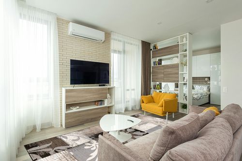 Indoor Area Rug with Jute Backing 8' X 10' in Light Modern Living Room with TV