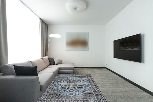 COZYLOOM 5x7 Vintage Medallion Distressed Rug Oriental Floral Printed Rug Boho Chenille Soft Floor Cover for Living Room Bedroom Non-Slip Low Pile Washable Rug Foldable Thin Blue/Black in Modern Living Room with Grey Couch