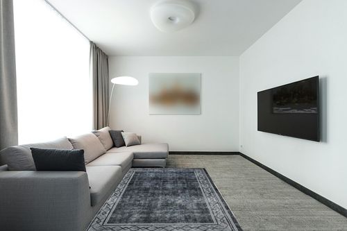 Fashionwu Vintage Area Rug 5x7 Grey Rug for Bedroom Machine Washable Floor Mat for Office Geometric Patio Dining Room Rug Aesthetic Carpet Non-Shedding Anti-Slip Floor Mat, Gem Printed, Gray in Modern Living Room with Grey Couch