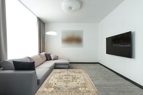 Area Rugs for Living Room: 5x7 Rug for Bedroom Machine Washable with Non Slip Backing Non Shedding, Boho Medallion Floral Large Carpet for Dining Room Nursery Home Office Indoor Decor Grey/Beige in Modern Living Room with Grey Couch