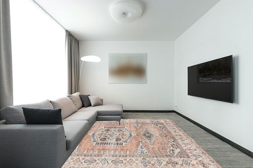 Ultra-Thin Antique Collection Area Rug in Modern Living Room with Grey Couch