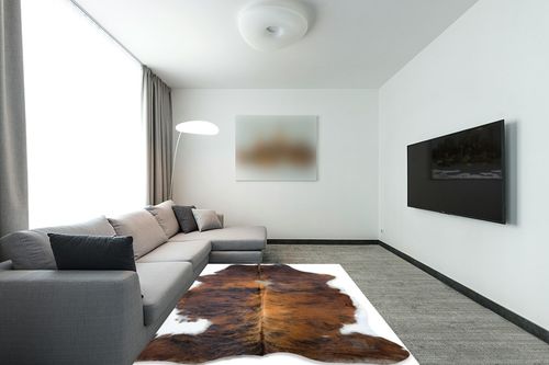 bonanza leathers Genuine Cowhide Rug Tricolor Brindle Size S/L/XL 5X6/6X7/7X8 FT (6X7) in Modern Living Room with Grey Couch