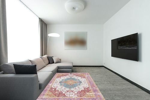 Poeti 5x7 Area Rugs, Ultra Soft Washable Rug, Stain Resistant Rugs for Living Room, Non Slip Backing, Boho Rug Distressed Medallion (Pink, 5x7 Feet) in Modern Living Room with Grey Couch