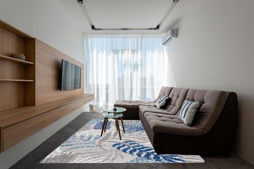 Gray/Blue Bohemian Indoor/outdoor Kitchen, Bedroom, Living Room, Patio, Dining Room Area Rug in Grey Living Room with Brown Couch