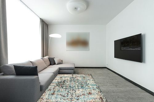 Bohemian Floral Medallion Area Rug in Modern Living Room with Grey Couch