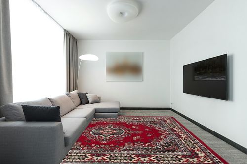 Home Dynamix Premium Sakarya Traditional Medallion Border Area Rug, Claret, 7'8"x10'7" Rectangle in Modern Living Room with Grey Couch