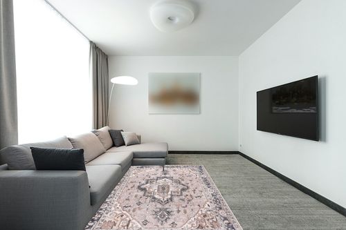 nuLOOM Sasha Machine Washable Medallion Area Rug, 5x8, Pink in Modern Living Room with Grey Couch
