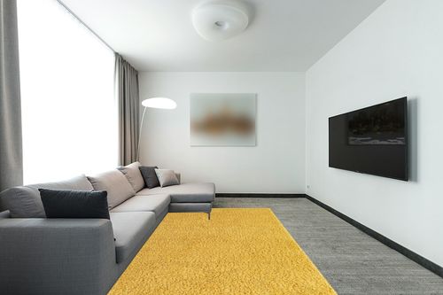 Yellow, 6x9 Feet fluffy rug in Modern Living Room with Grey Couch