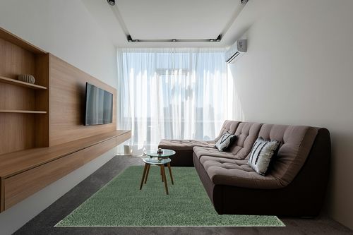 8x10 Green fluffy rug in Grey Living Room with Brown Couch