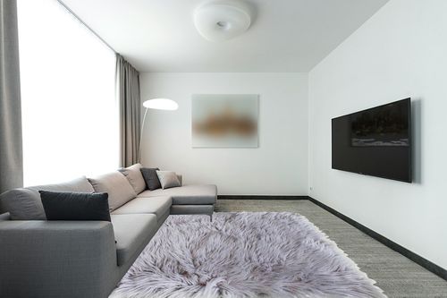 Ultra Soft & Fluffy Faux Sheepskin Rug in Modern Living Room with Grey Couch