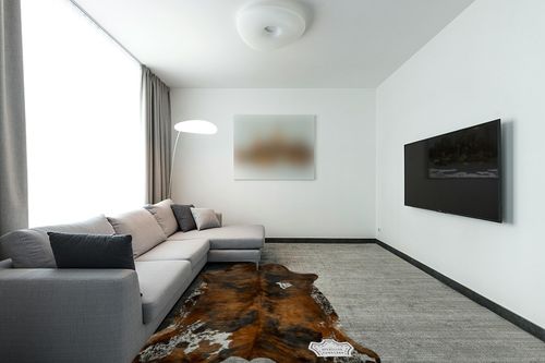 Appaloosa Cowhides Natural Cowhide Rug - Tricolor Cowhide Area Rug for Bedroom & Living Room - Luxury Cowhides Modern Accent Rug - Genuine Leather with Real Animal Fur, Medium, 5 x 7 Feet in Modern Living Room with Grey Couch