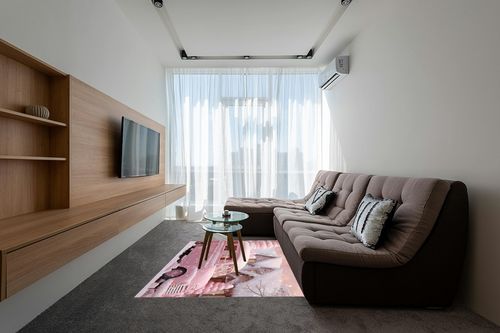 Pink Christmas Area Rug for Living Room, Rectangular Indoor Carpet - 5' x 7', Xmas Pink Truck Winter Snowflake Non-Skid Bathroom Mat Kitchen Runner Rugs for Bedroom in Grey Living Room with Brown Couch